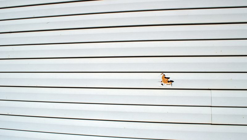 Inspection and Preparation